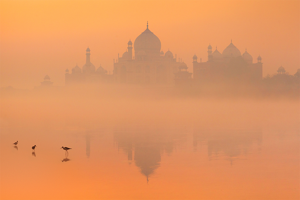Skyline of Taj Mahal, Agra, Uttar Pradesh, India (photograph by Jan Wlodarczyk/Alamy)